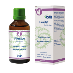 Joalis FlexiArt 50ml