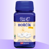 VitaHarmony Hořčík 300 mg 120 tbl
