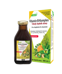 Floradix Vitamin B-komplex 250 ml